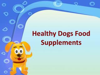 Healthy Dogs Food Supplements