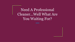 Need A Professional Cleaner…Well What Are You Waiting For?