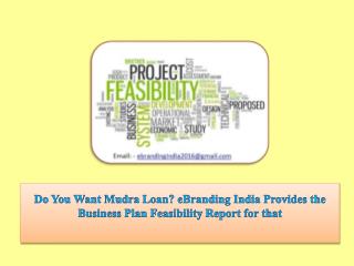 Do You Want Mudra Loan? eBranding India Provides the Business Plan Feasibility Report for that