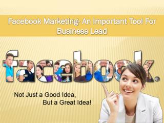 Facebook Marketing- An Important Tool For Business Lead