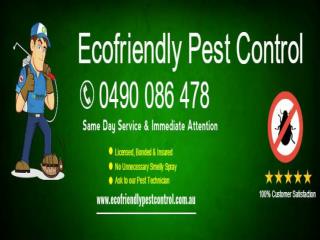 Ecofriendly Pest Control Perth