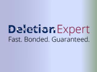What Is the Fast-Track Credit Sweep from Deletion Expert?
