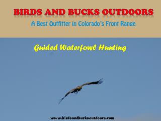 Duck Goose Hunting Colorado