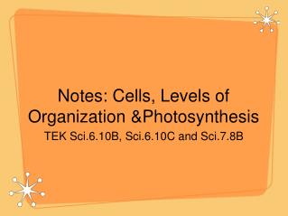 Notes: Cells, Levels of Organization &amp;Photosynthesis