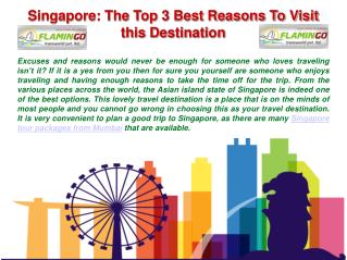 The Top 3 Best Things To Visit Singapore with Flamingo