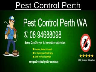 Pest Control Perth WA
