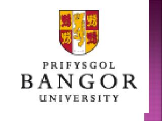 Bangor University Consultants - Global Opportunities Delhi