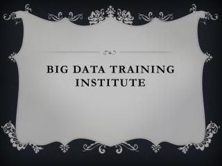 Big Data Training Institute