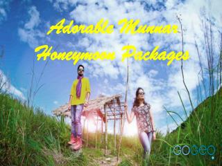 Romantic Munnar Tour Packages by Gogeo Holidays