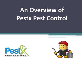 An Overview of Pestx Pest Control