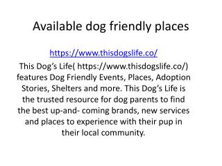 Available dog friendly places