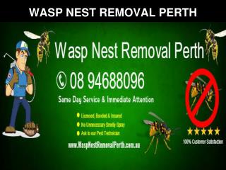 Wasp nest removal perth