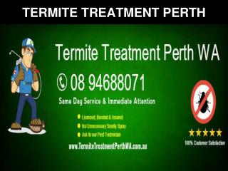 Termite Treatment Perth WA