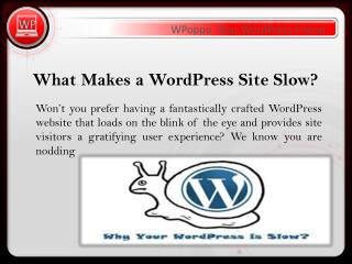 Hire WP speed optimization experts