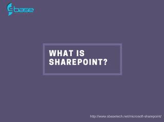 Why share point?