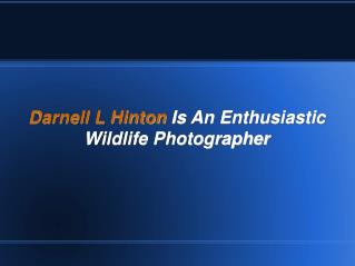 Darnell L Hinton Is An Enthusiastic Wildlife Photographer
