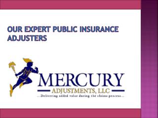 Professional public Adjusters