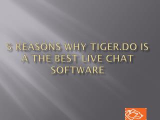 5 reasons why Tiger.do is a the best live chat software