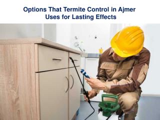 Options That Termite Control In Ajmer Uses For Lasting Effects