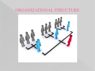 PPT on Organizational Structure by Experienced Writers