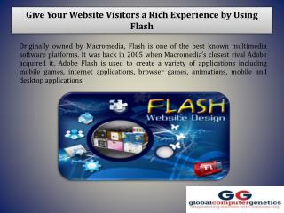 Give Your Website Visitors a Rich Experience by Using Flash