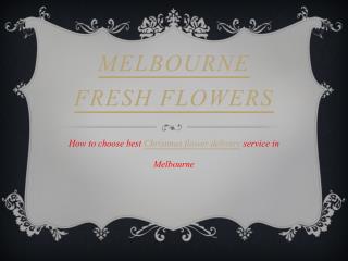 Christmas Flower Arrangements | Christmas Flowers Melbourne