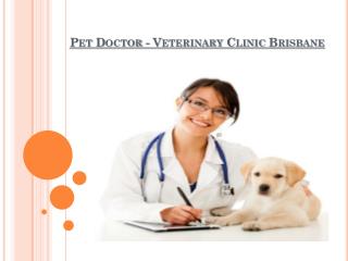 Pet Doctor