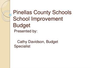 Pinellas County Schools School Improvement Budget