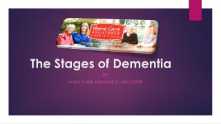 The Stages of Dementia