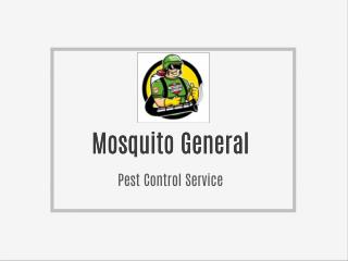 Mosquito General