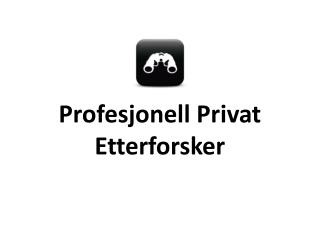 Profesjonell Privat Etterforsker