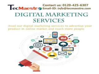 Digital Marketing Company - Top Brand Promotion By TecMaestro