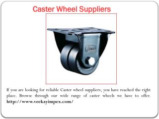 Caster Wheel for Trolley