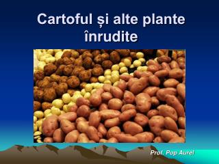 Cartoful și alte plante înrudite
