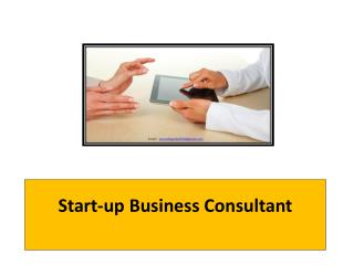Start-up Business Consultant