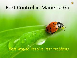 Pest Control in Marietta Ga