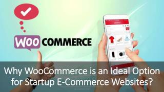 Why WooCommerce is an Ideal Option for Startup E-Commerce website