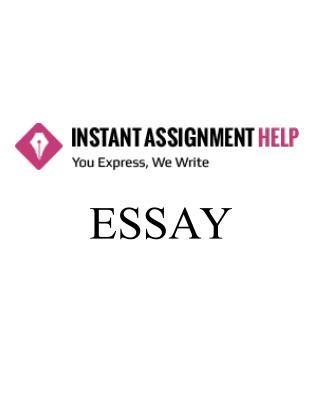 Essay Sample on Coaching Philosophy