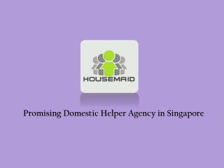 Domestic Helper Agency in Singapore