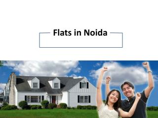 flats in noida