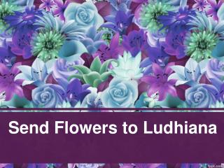 Send Flowers to Ludhiana