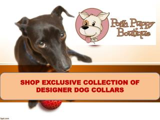 SHOP EXCLUSIVE COLLECTION OF DESIGNER DOG COLLARS-POSH PUPPY BOUTIQUE