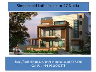 Luxury Kothi in Noida Sector 47, kothi in noida, New Construction Duplex kothi