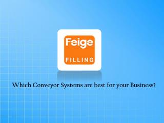 Conveyor Systems Manufacturer