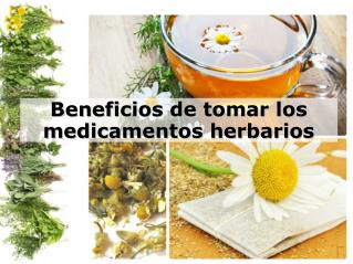 Beneficios de tomar los medicamentos herbarios