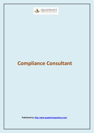 Compliance Consultant