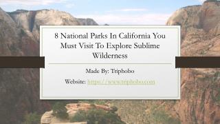 National Parks In California You Must Visit To Explore Sublime Wilderness
