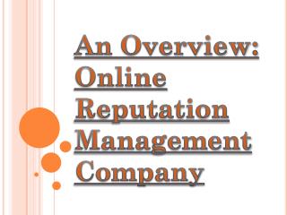 Online Reputation Management Company Guidance