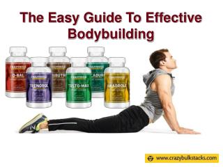 The Easy Guide To Effective Bodybuilding