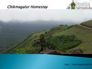 Chikmagalur Homestay
